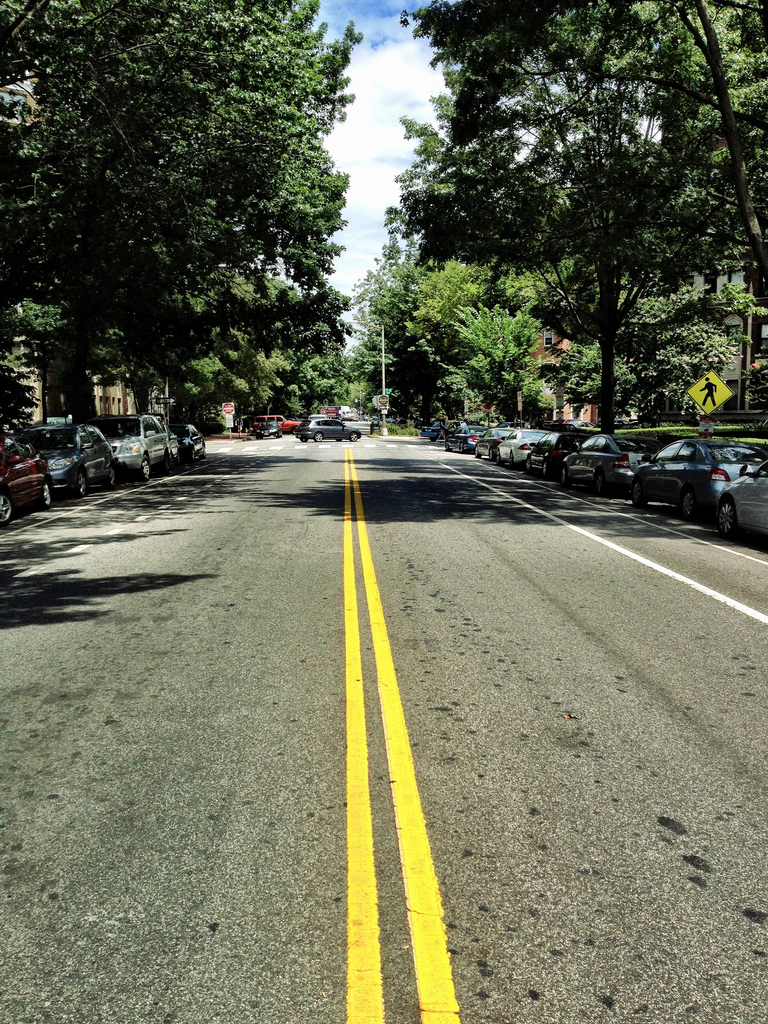 Summer Walk, Washington, DC