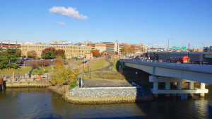 WalkWithaDoc 11th Street Bridge 33421